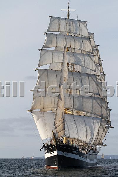TSR2011_2 810.JPG